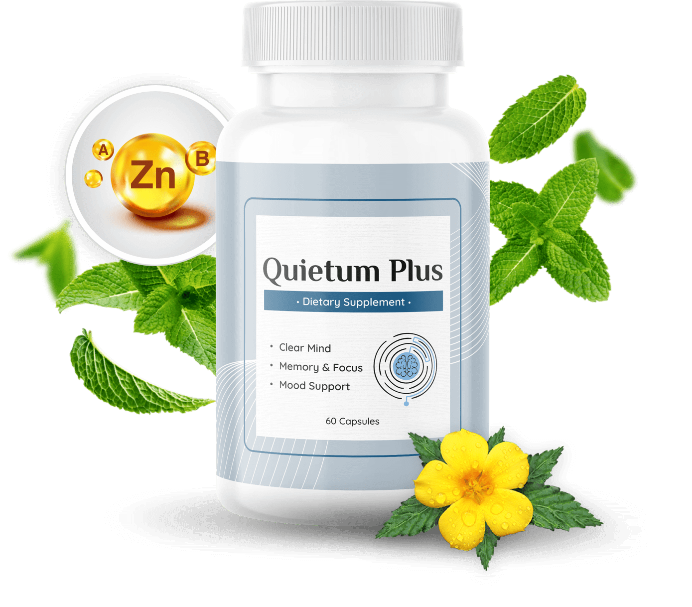Quietum Plus single bottle plus ingredients